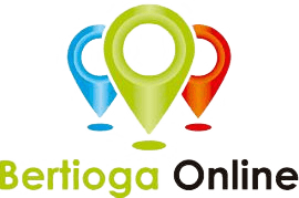 Logo_Bertioga_Online-transformed